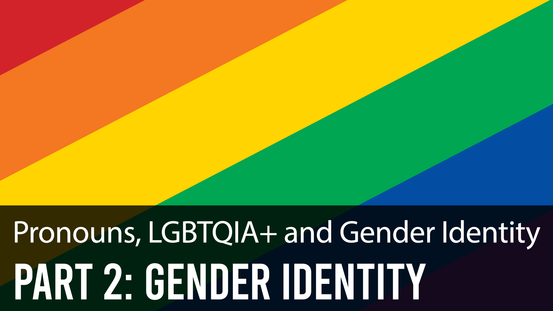 Pronouns, LGBTQIA+, and Gender Identity - Part 2: Gender Identity. 2023