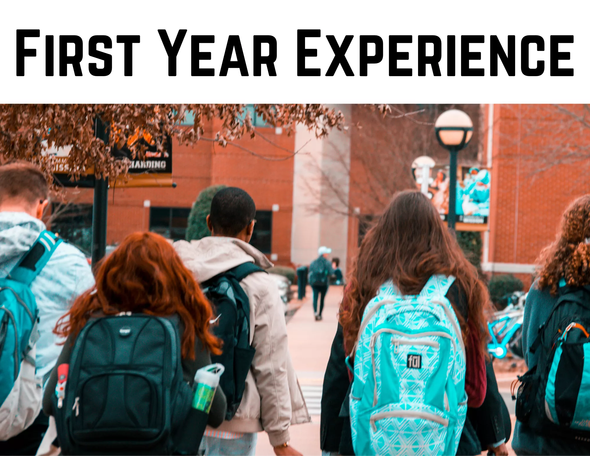 First Year Experience