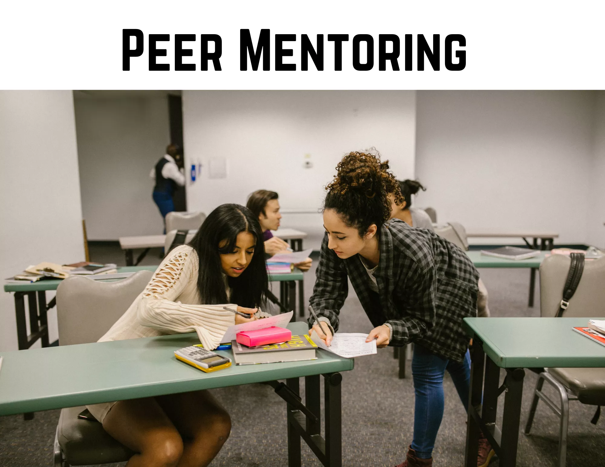 Peer Mentoring