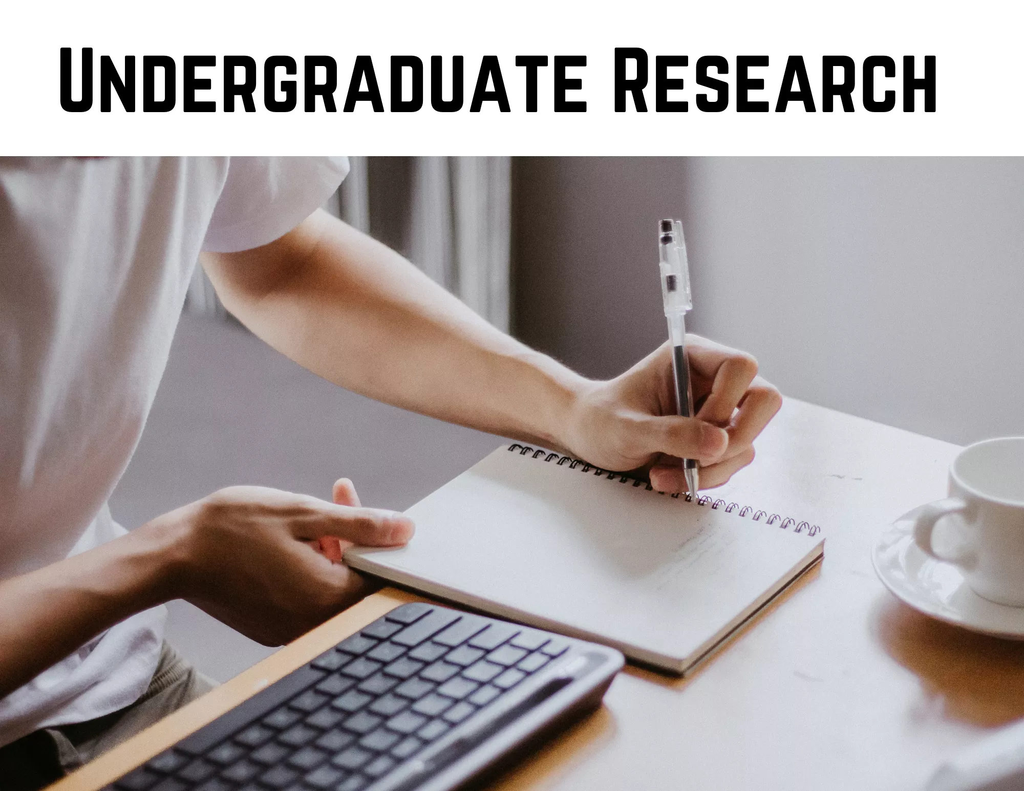 Undergraduate Research