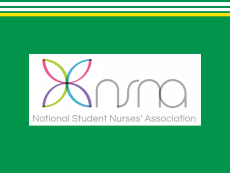 NSNA Organizational Link